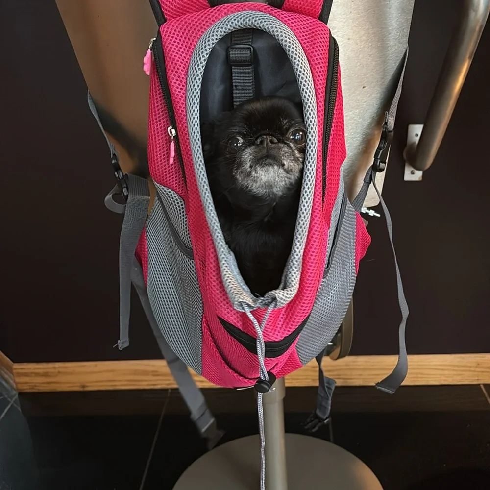 NWOT Dog Carrier